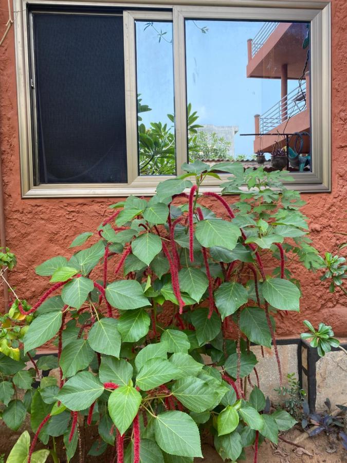 Résidences Ouadada Porto-Novo Esterno foto